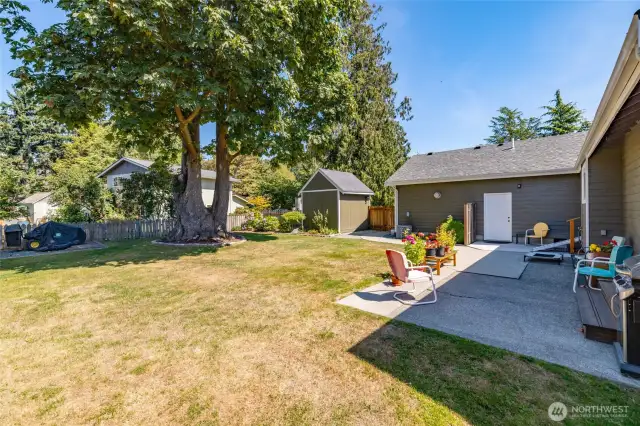 Patio area and fenced back yard.