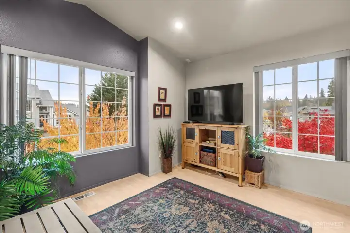 So much light in the bonus room!