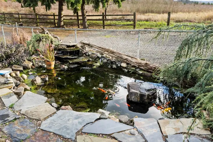 A professionally installed pond takes center stage—perfect for a water garden, fish, and peaceful moments outdoors. Enjoy this beautiful feature within a fully fenced yard that enhances relaxation, charm, and outdoor living.