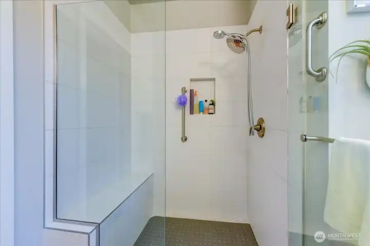 Primary Shower