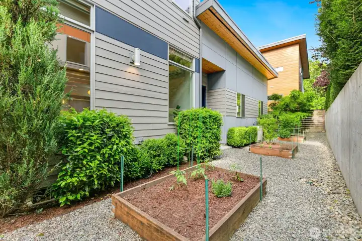 Sunny side yard has tons of space, plant beds are ready for some spring action!