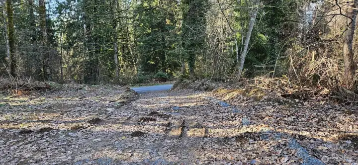 Private Driveway going to 147 Ave NE for potential ADU private entrance