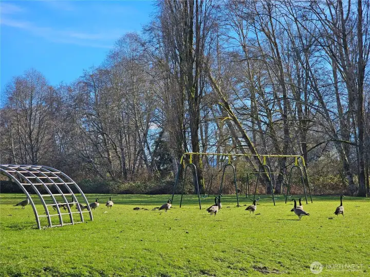 The river park offers a great space to spend time.