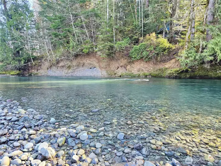This river fills up with Salmon in the fall!