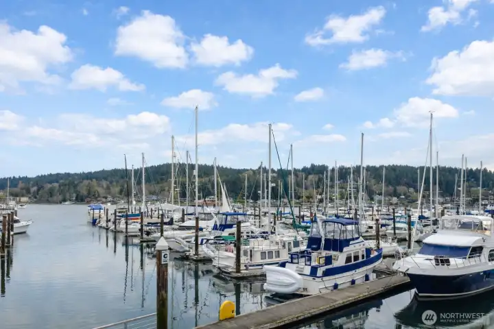 Murphy's Land Marina