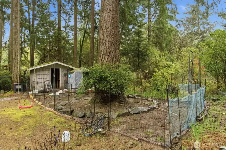Fenced in chicken coop area