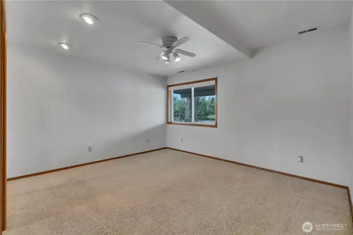Lower level extra bedroom