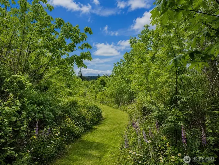 Great path for viewing expansive property