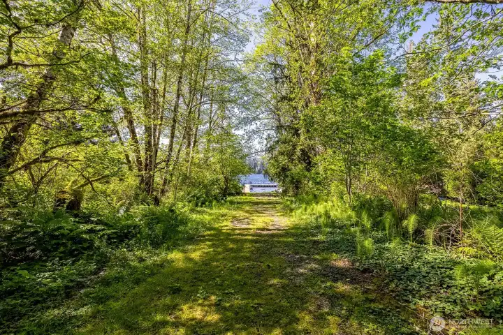 Your private forest for exploring.