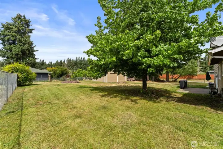 Large yard!