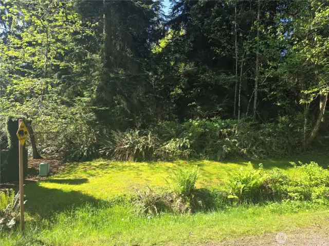 NE corner of property on 240th St facing South...