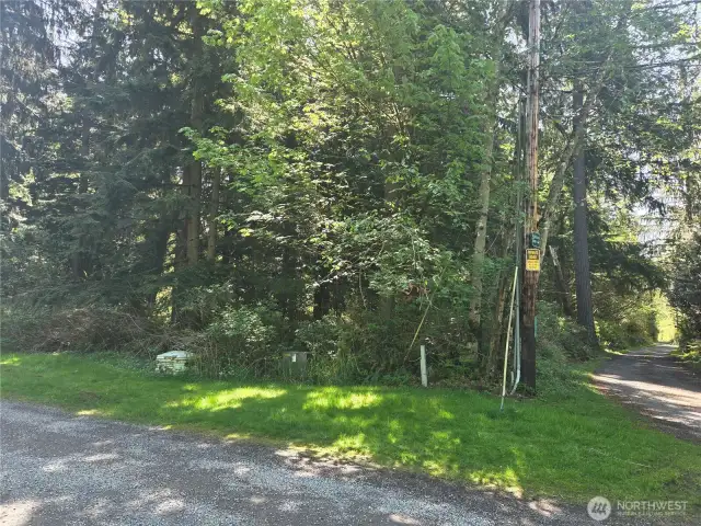 NW corner of property on 240th St facing South...