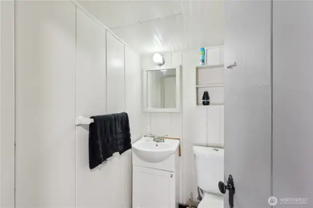 Lower Level Powder Room