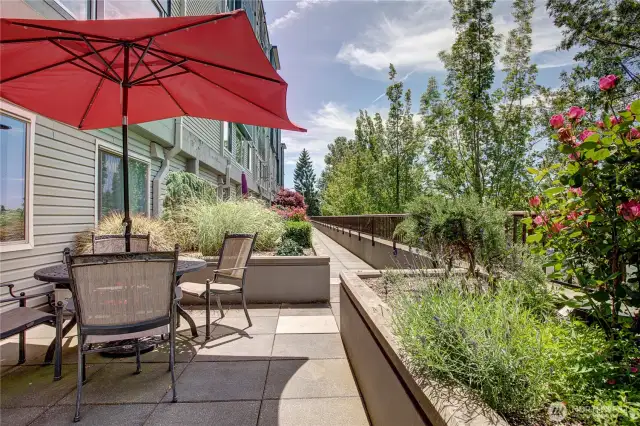 Community outdoor space complete with BBQ access.