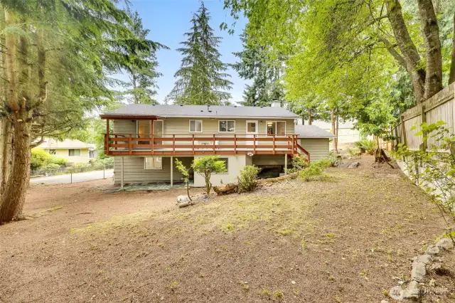 Huge yard! Partially fenced