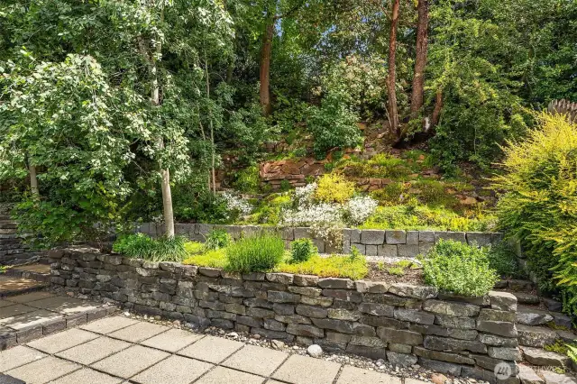 Mature garden beds