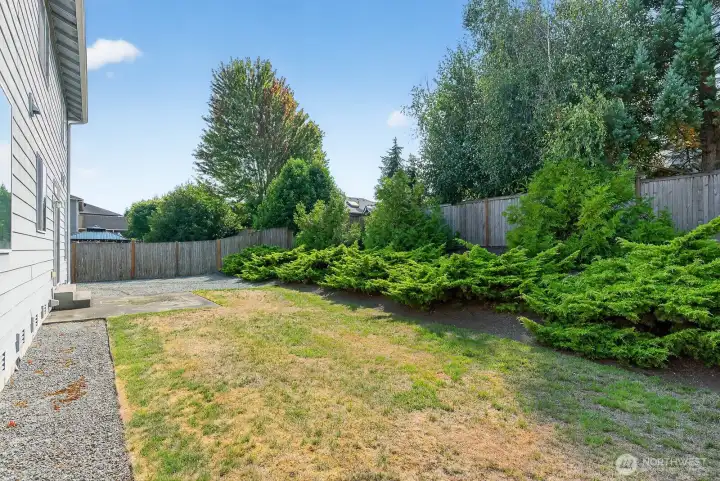 Back yard