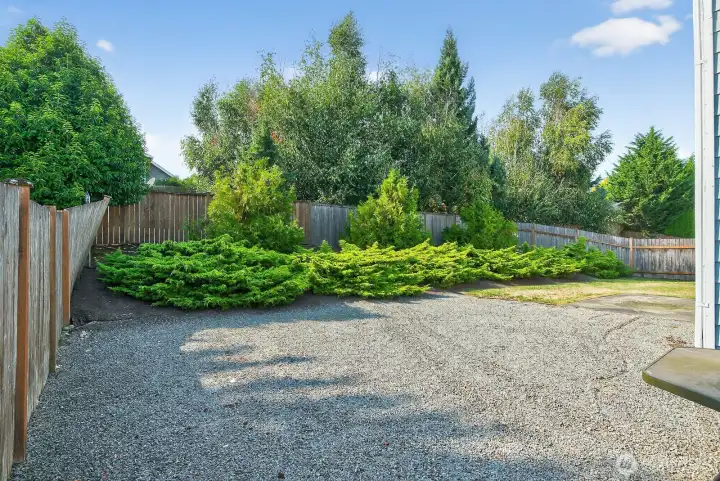 Back yard