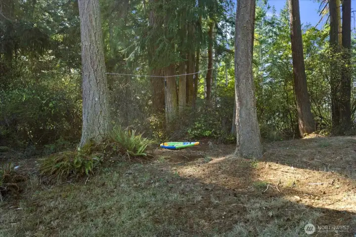 Tall Tree's give off a cozy private feel & help with a fun swing.