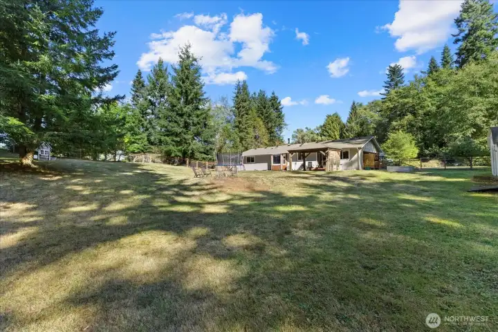 Looking back towards the house from the edge of the grassy area.