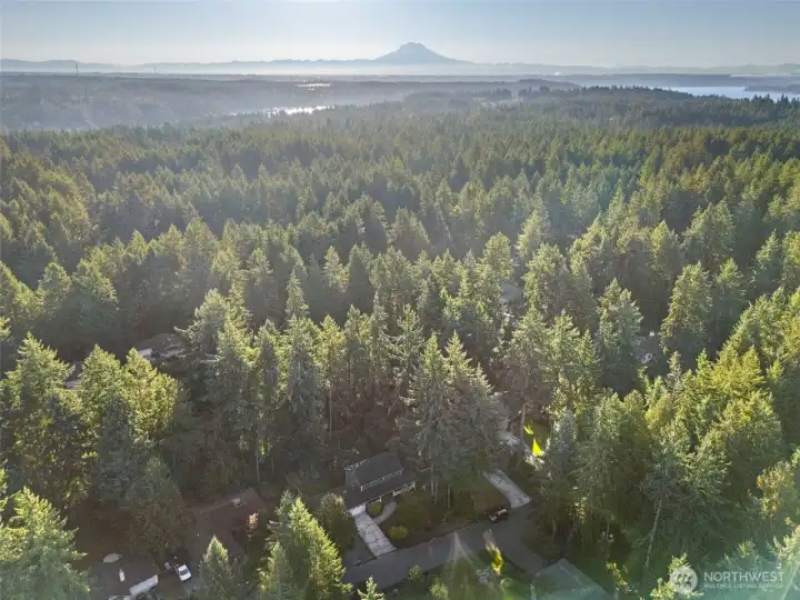 Mt Rainier off in the distant across the sound.