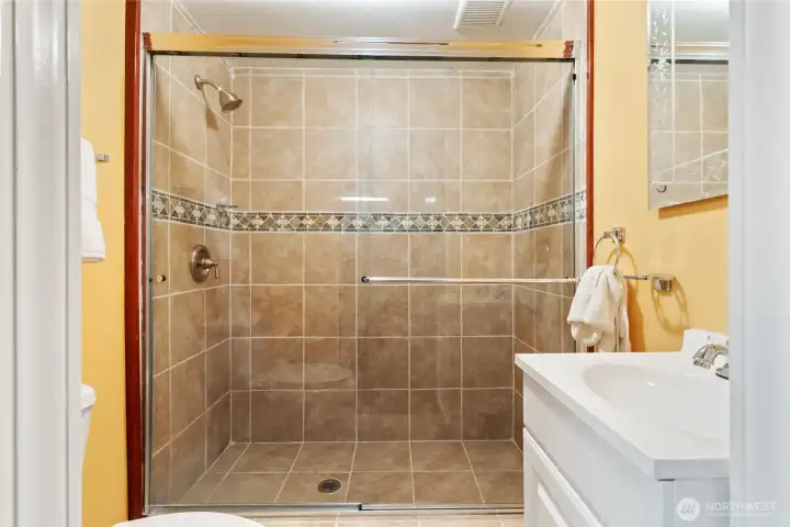 Basement Bathroom