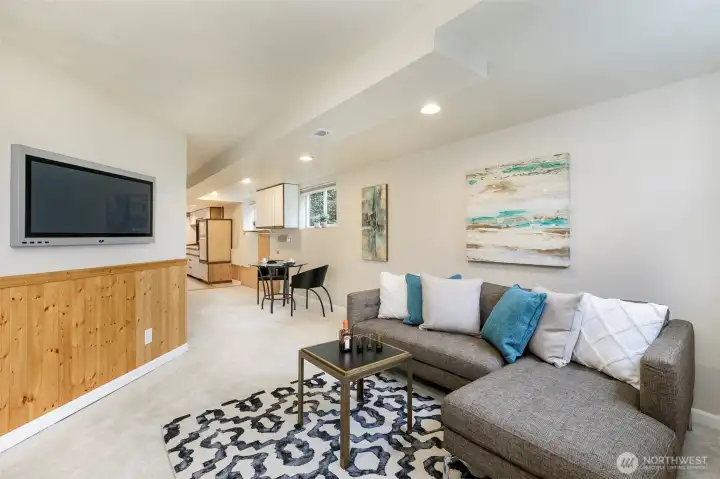 Lower Level Apartment Living Room