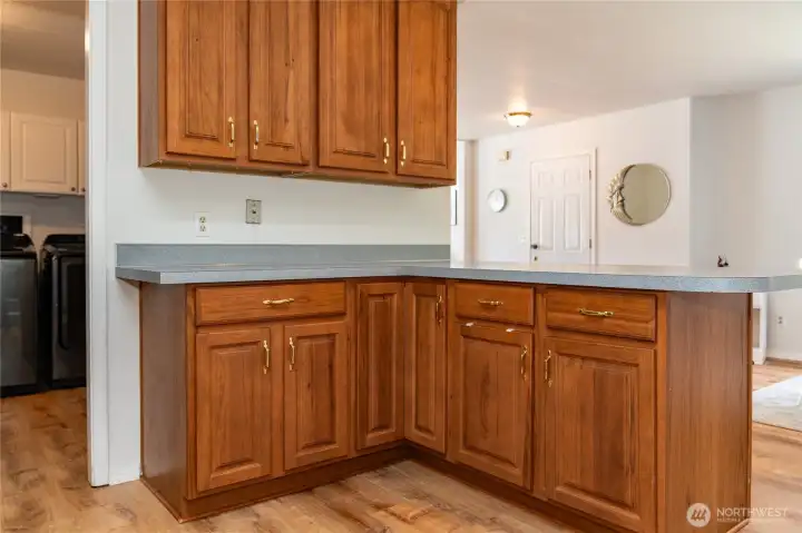 Kitchen with laundry on left and dining/living/front door on right.