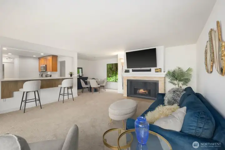 Gas Fireplace Gas Fireplace