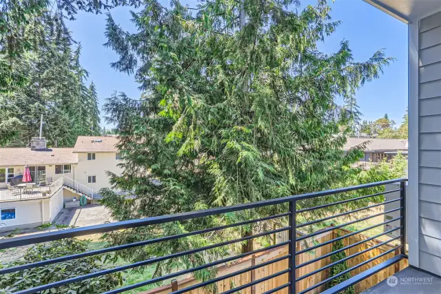 Balcony off Dining Room  (Unit C Staged Photo)