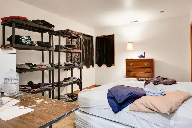 Another Lower Level Secondary Bedroom with Walk-In Closet