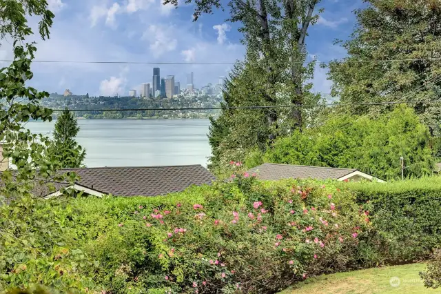 View of Seattle skyline