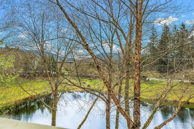 View of Black Nugget Pond from the unit's living room