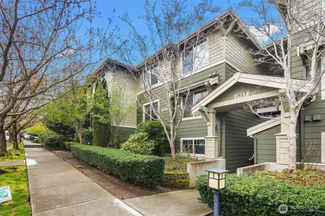 The Outlook's peaceful tree-lined street