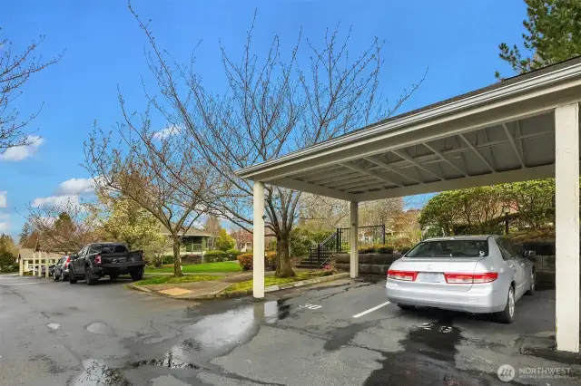 Assigned carport parking, spot #29