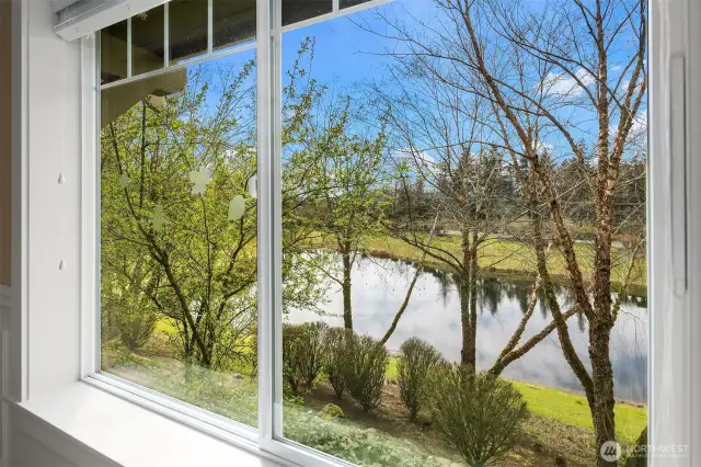 View from the living room window