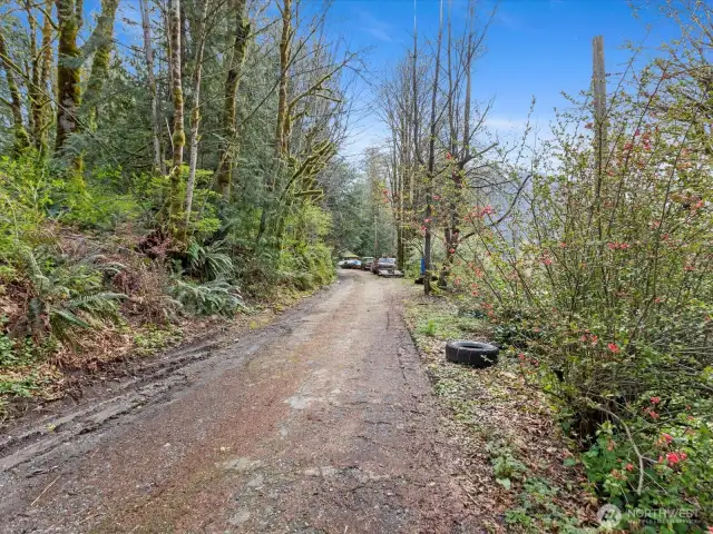Up the driveway