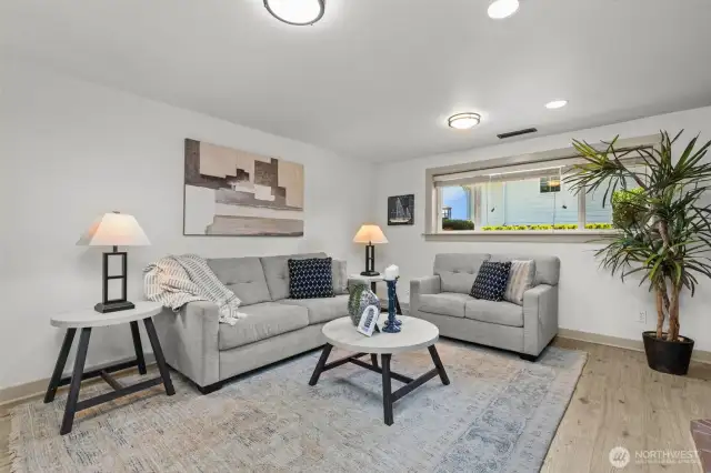Down Stairs Family Room