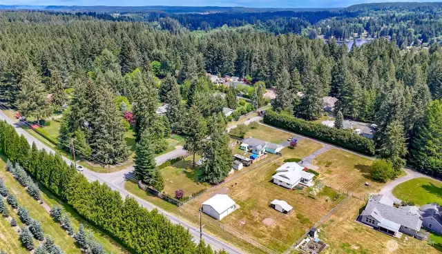 Subject property is white with the huge garage/workshop at the back of the property.
