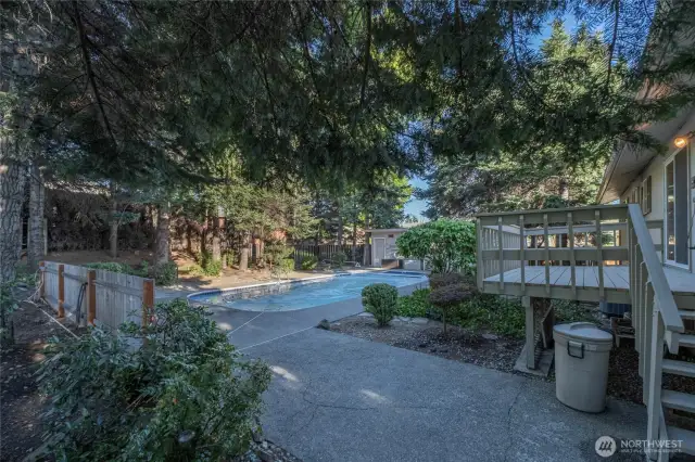 Back Yard from NW