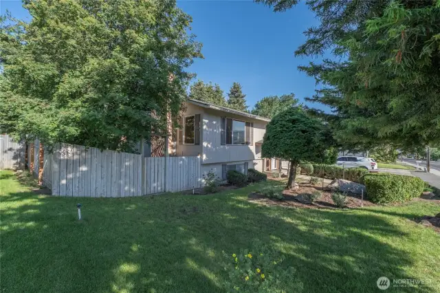 Front Yard