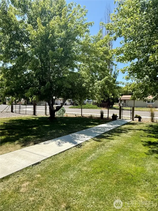 Sidewalk leading to front door and fenced front yard
