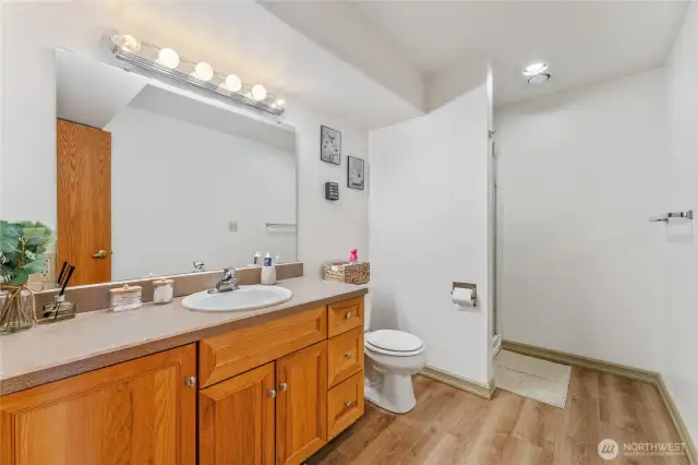 lower level bathroom