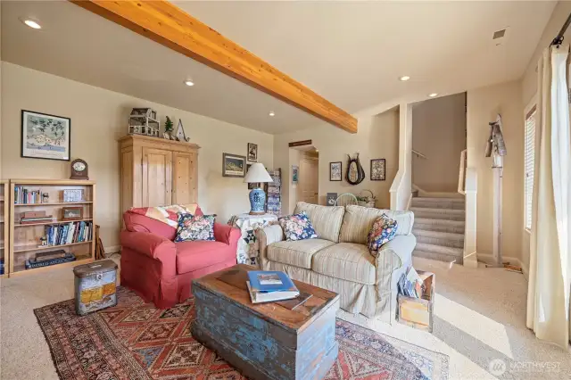 Downstairs Family Room