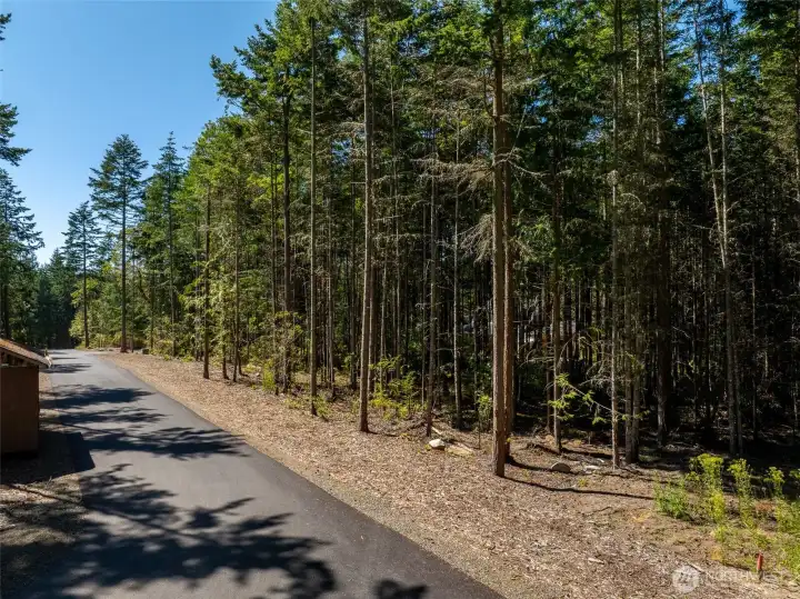 Recently Paved Road and Utilities are at the parcel! Beautiful custom homes all around you!