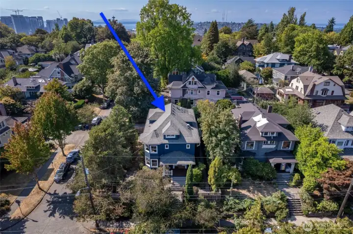 An oasis in the heart of North Capitol Hill