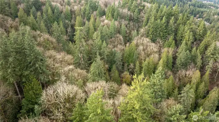 Drone View of Property