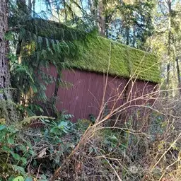 03-Pass by old shed on path to property