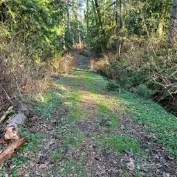 04-Part of trail to property