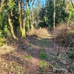 05-Part of trail to property